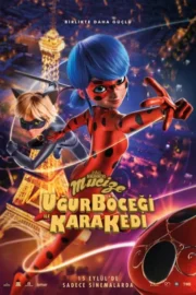 Mucize Uğur Böceği ile Kara Kedi İzle – Mucize Uğur Böceği ile Kara Kedi HD İzle – HD Film İzle
